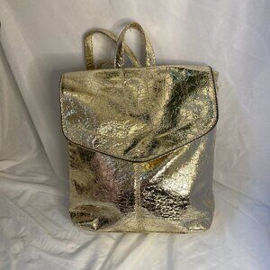 3AM Forever Gold crinkle expandable backpack/zippers